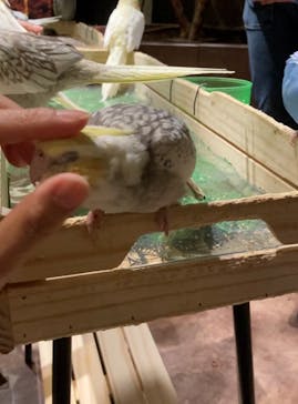 Moff animal world MARK IS みなとみらい店に投稿された画像（2021/10/6）