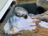 しながわ水族館に投稿された画像（2021/10/6）