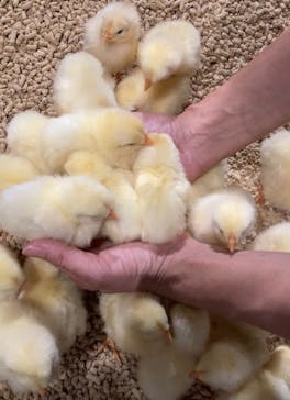 Moff animal world MARK IS みなとみらい店に投稿された画像（2021/10/6）