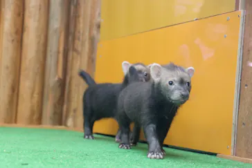 神戸どうぶつ王国に投稿された画像（2021/10/6）