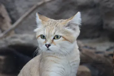 神戸どうぶつ王国に投稿された画像（2021/10/6）