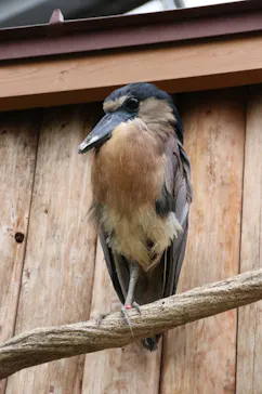 神戸どうぶつ王国に投稿された画像（2021/10/6）
