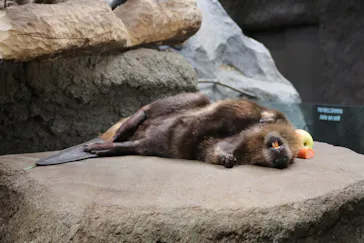 神戸どうぶつ王国に投稿された画像（2021/10/6）