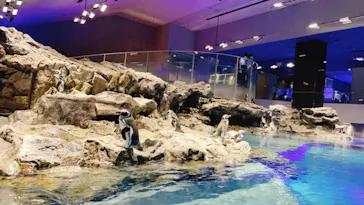 すみだ水族館に投稿された画像（2021/10/6）