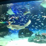 サンシャイン水族館に投稿された画像（2021/10/6）