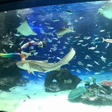 サンシャイン水族館に投稿された画像（2021/10/6）