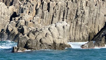 東尋坊観光遊覧船株式会社に投稿された画像（2021/10/6）