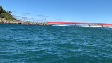 東尋坊観光遊覧船株式会社に投稿された画像（2021/10/6）