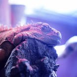 マクセル アクアパーク品川に投稿された画像（2021/10/7）