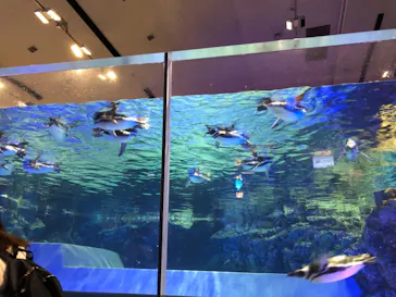 すみだ水族館に投稿された画像（2021/10/6）