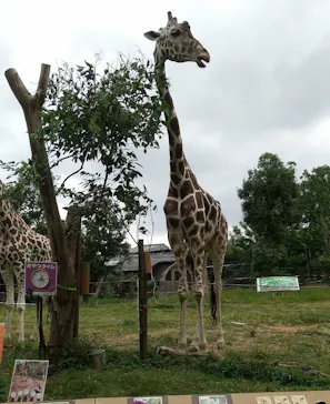 天王寺動物園に投稿された画像（2021/10/6）