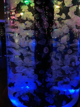 マクセル アクアパーク品川に投稿された画像（2021/10/7）