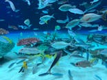 サンシャイン水族館に投稿された画像（2021/10/7）