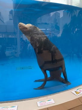サンシャイン水族館に投稿された画像（2021/10/7）