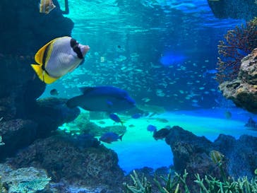サンシャイン水族館に投稿された画像（2021/10/7）