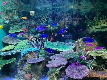 サンシャイン水族館に投稿された画像（2021/10/7）