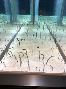 すみだ水族館に投稿された画像（2021/10/7）