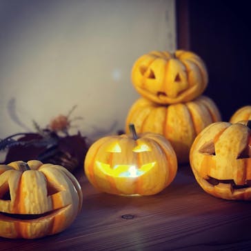 アトリエひわだやに投稿された画像（2021/10/7）