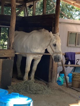 群馬サファリパークに投稿された画像（2021/10/7）