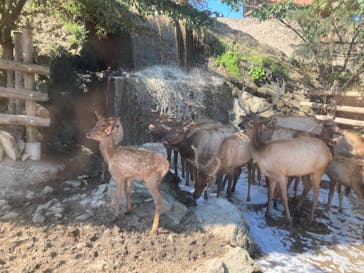 群馬サファリパークに投稿された画像（2021/10/7）