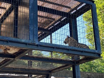 群馬サファリパークに投稿された画像（2021/10/7）