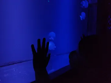 すみだ水族館に投稿された画像（2021/10/7）