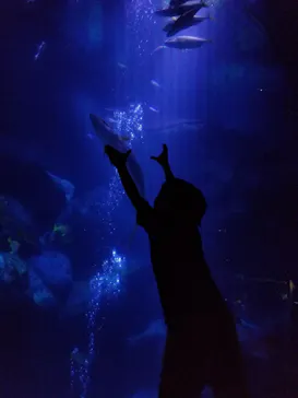 すみだ水族館に投稿された画像（2021/10/7）