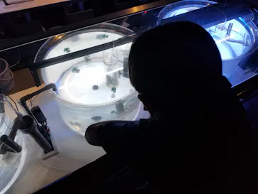 すみだ水族館に投稿された画像（2021/10/7）