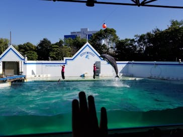 しながわ水族館に投稿された画像（2021/10/7）