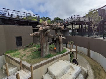 沖縄こどもの国に投稿された画像（2021/10/7）