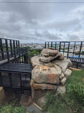 沖縄こどもの国に投稿された画像（2021/10/7）