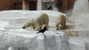 天王寺動物園に投稿された画像（2021/10/8）