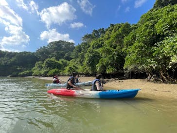 沖縄海うさぎ・海あしびに投稿された画像（2021/10/8）