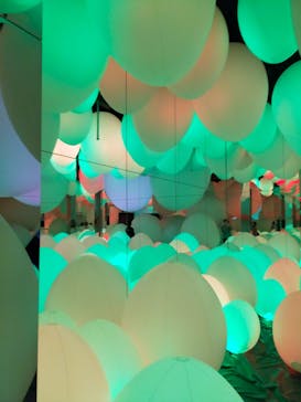 チームラボフォレスト 福岡 - SBI証券に投稿された画像（2021/10/8）