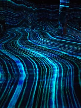 チームラボフォレスト 福岡 - SBI証券に投稿された画像（2021/10/8）