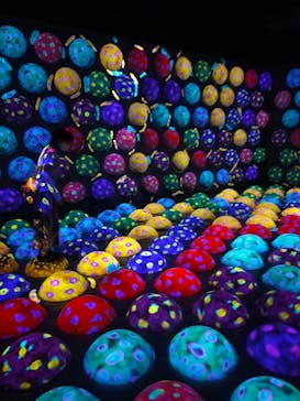 チームラボフォレスト 福岡 - SBI証券に投稿された画像（2021/10/8）