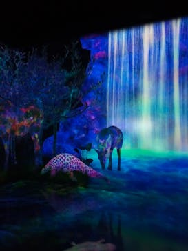 チームラボフォレスト 福岡 - SBI証券に投稿された画像（2021/10/8）