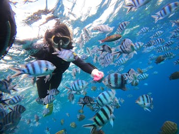 青の洞窟専門店　沖縄ダイビングショップ和に投稿された画像（2021/10/8）