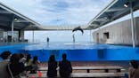 上越市立水族博物館 うみがたりに投稿された画像（2021/10/8）