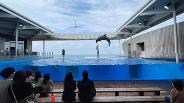 上越市立水族博物館 うみがたりに投稿された画像（2021/10/8）