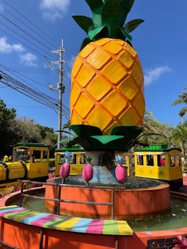 ナゴパイナップルパークに投稿された画像（2021/10/8）