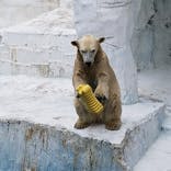 天王寺動物園に投稿された画像（2021/10/8）