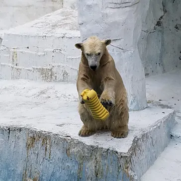 天王寺動物園に投稿された画像（2021/10/8）
