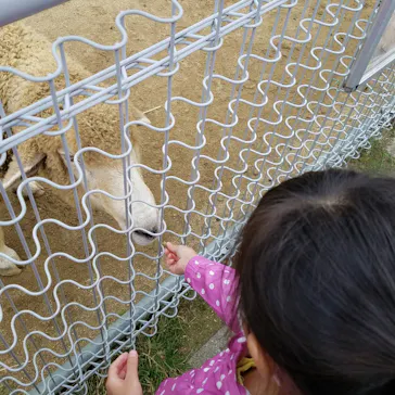 天王寺動物園に投稿された画像（2021/10/8）
