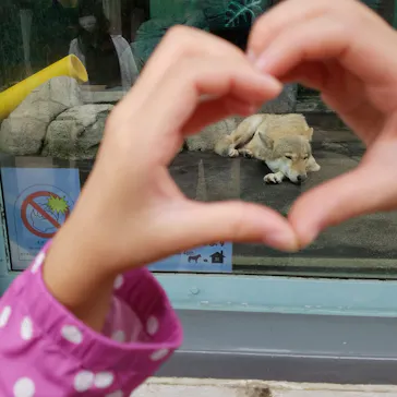 天王寺動物園に投稿された画像（2021/10/8）