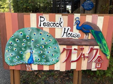 旭川市旭山動物園に投稿された画像（2021/10/8）