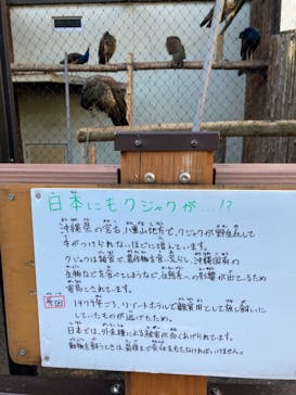 旭川市旭山動物園に投稿された画像（2021/10/8）