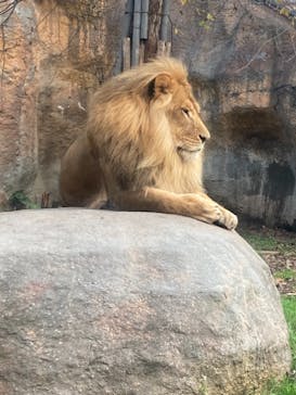 旭川市旭山動物園に投稿された画像（2021/10/8）