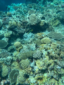 NEWS那覇店に投稿された画像（2021/10/9）