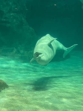 名古屋港水族館に投稿された画像（2021/10/9）